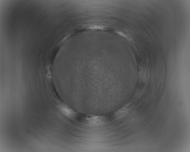 X0000074010430200609061054