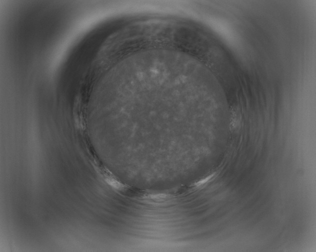 X0000074010431200609061054