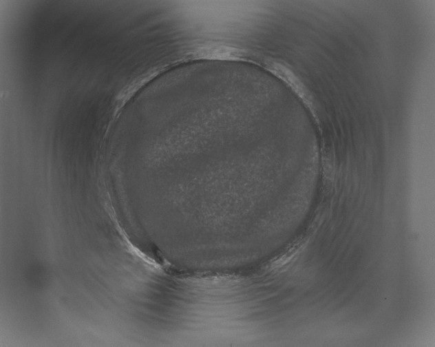 X0000074010433200609061053