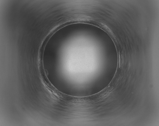 X0000074010435200609061053