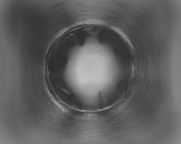 X0000074010437200609061053