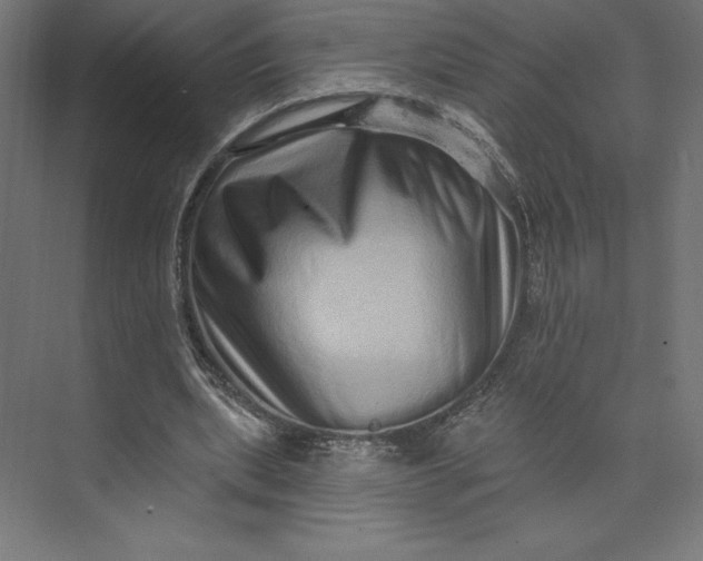 X0000074010439200609061053