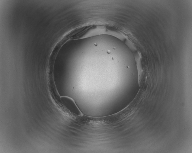 X0000074010440200609061054