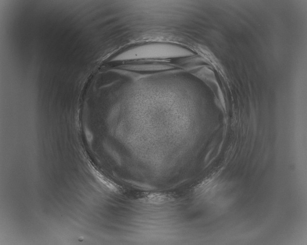 X0000074010441200609061054