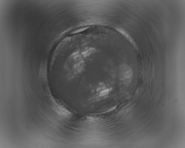 X0000074010442200609061054