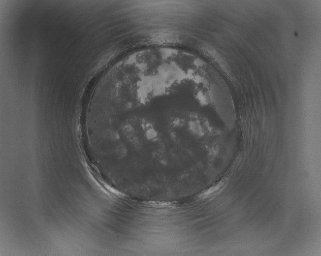 X0000074010443200609061054