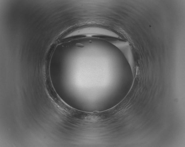 X0000074010444200609061054