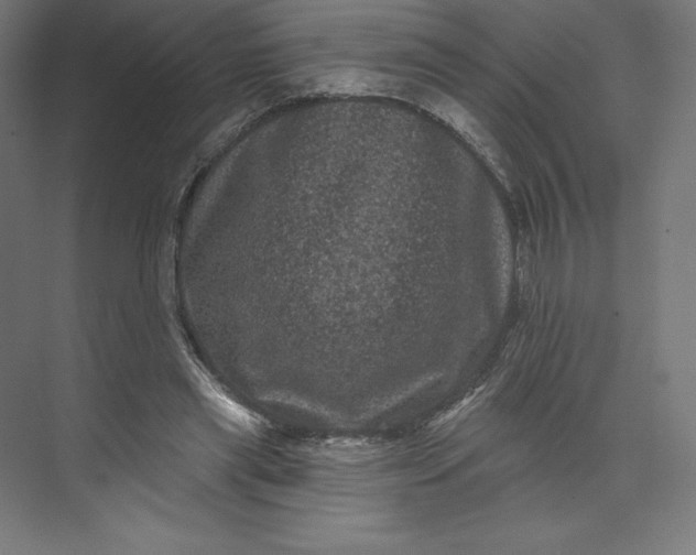 X0000074010445200609061054