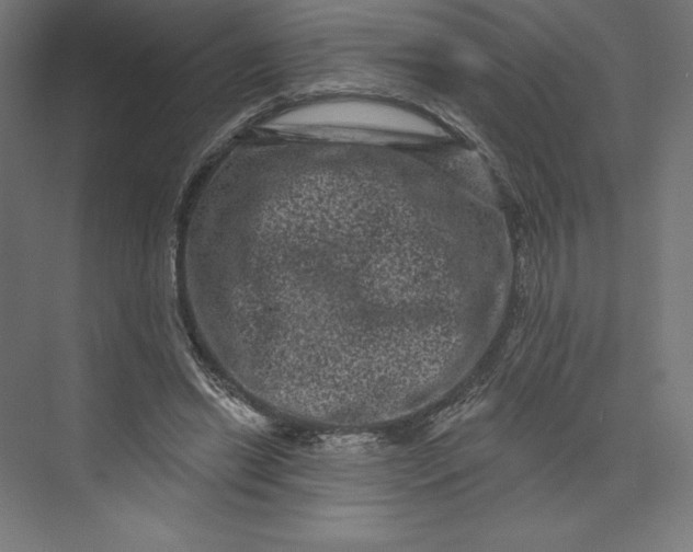 X0000074010446200609061054