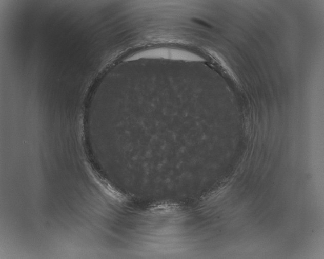 X0000074010447200609061054