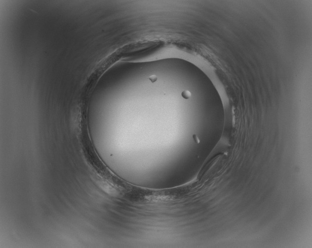 X0000074010448200609061054