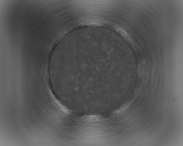 X0000074010449200609061054