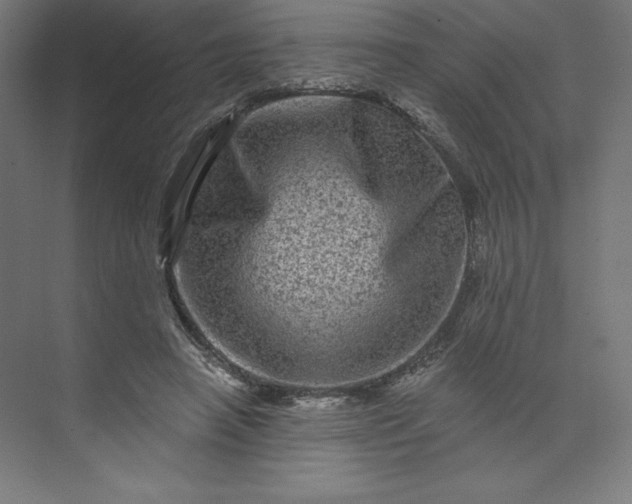 X0000074010450200609061054