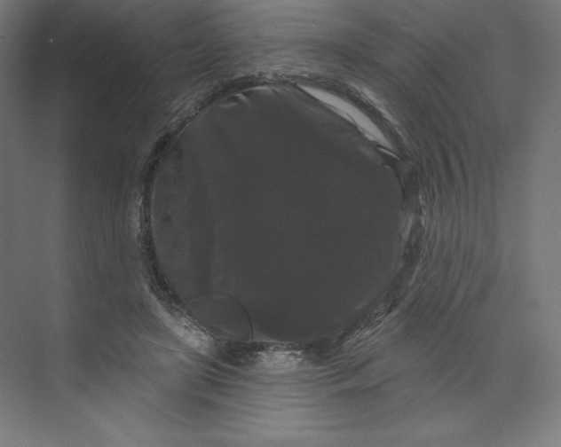 X0000074010451200609061054