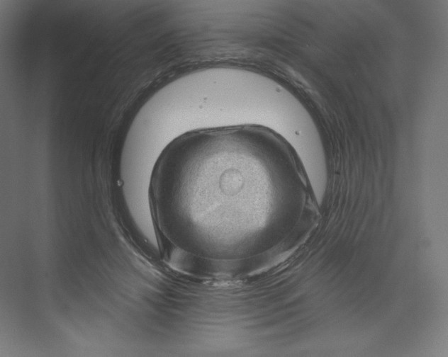 X0000074010452200609061054