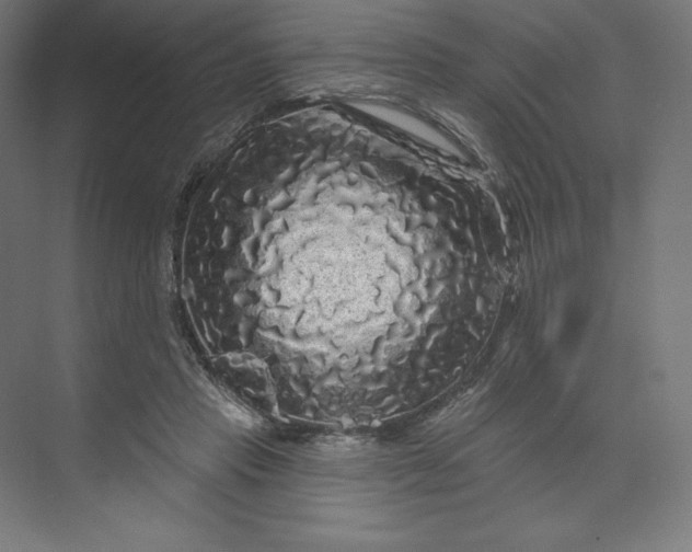 X0000074010453200609061054