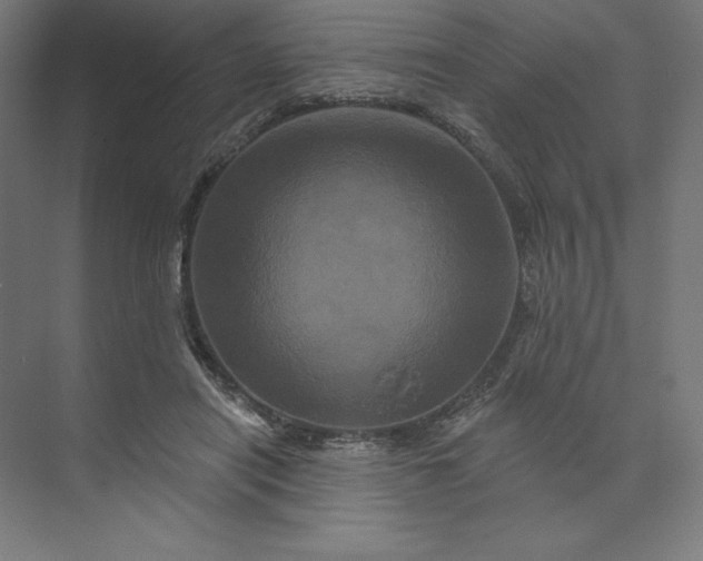 X0000074010454200609061054