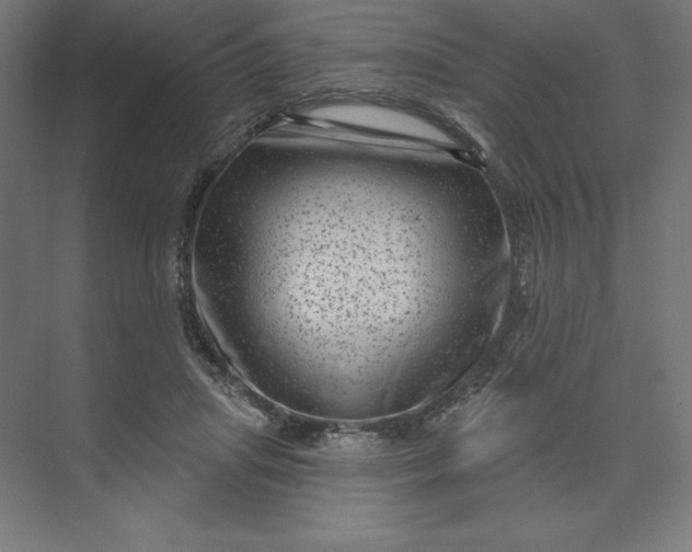 X0000074010455200609061054