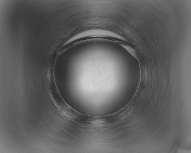 X0000074010456200609061054