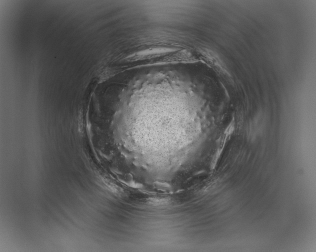 X0000074010457200609061054