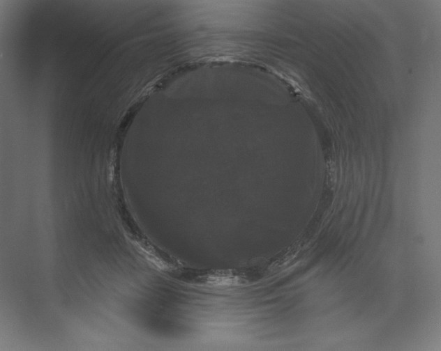 X0000074010458200609061054