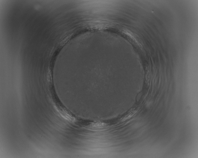 X0000074010459200609061054