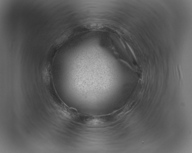 X0000074010460200609061054