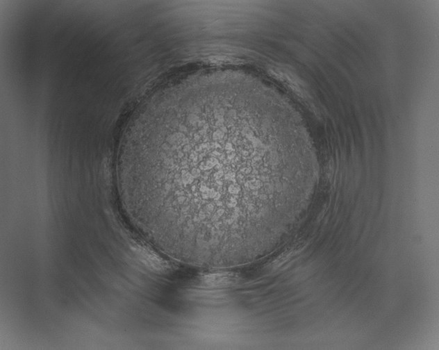 X0000074010461200609061054