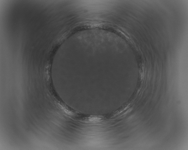 X0000074010462200609061054