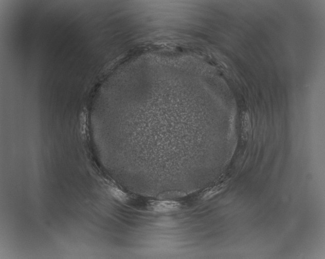 X0000074010463200609061054