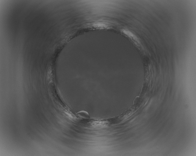 X0000074010465200609061054