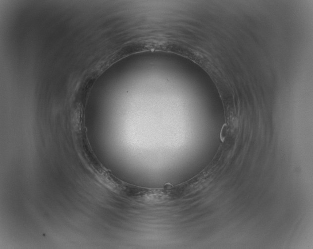 X0000074010468200609061054