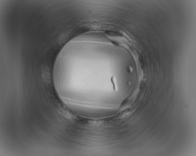 X0000074010469200609061054