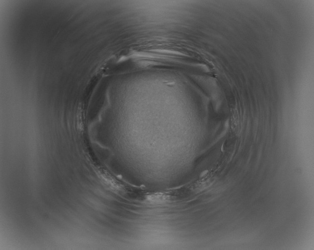 X0000074010470200609061054