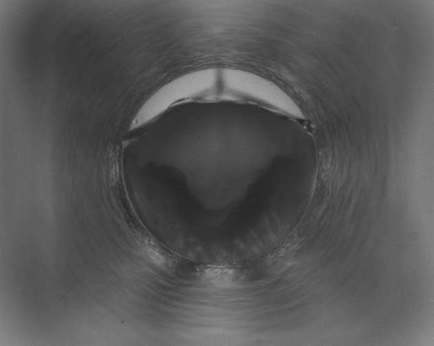 X0000074010471200609061054