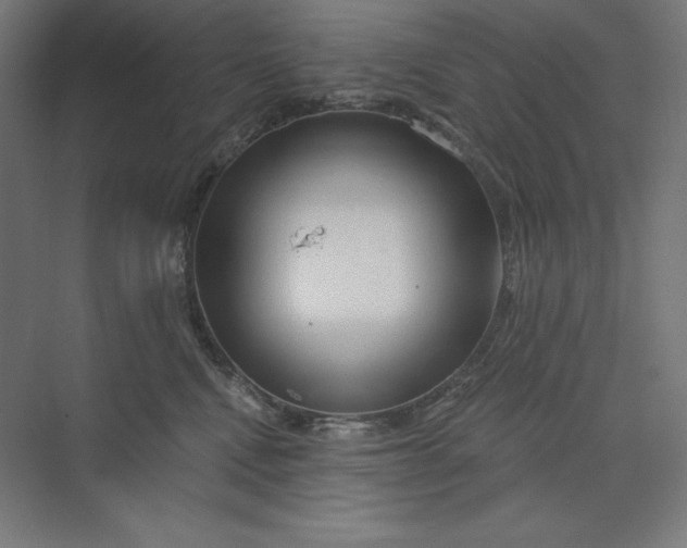 X0000074010472200609061054