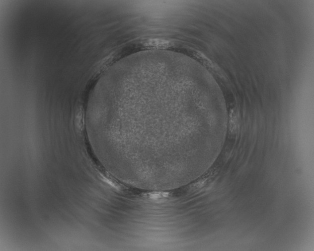 X0000074010474200609061054