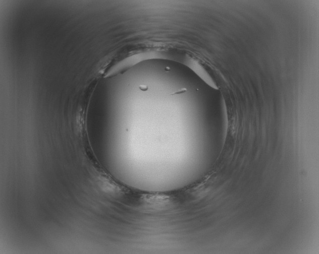 X0000074010476200609061054