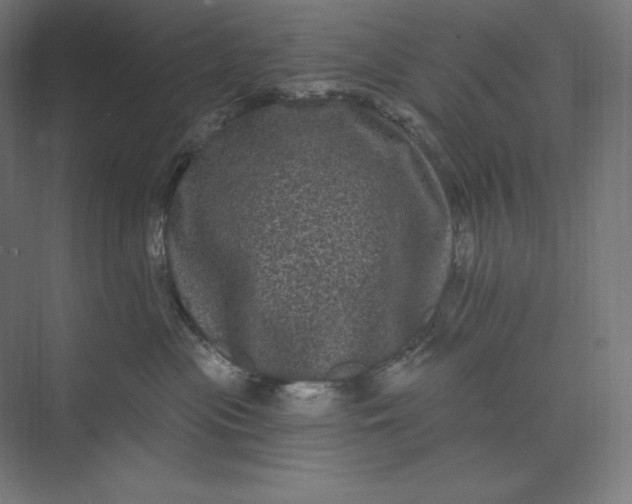 X0000074010477200609061054