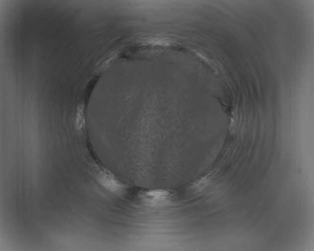 X0000074010478200609061054