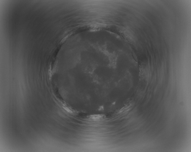 X0000074010479200609061054