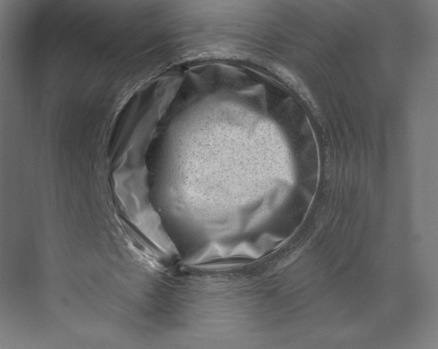 X0000074010481200609061053