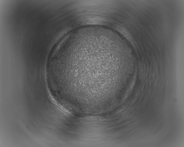 X0000074010482200609061053