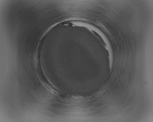 X0000074010484200609061053