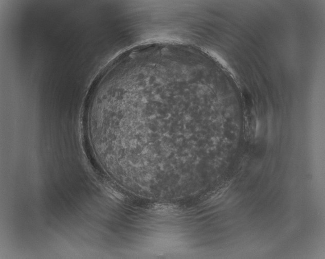 X0000074010487200609061053