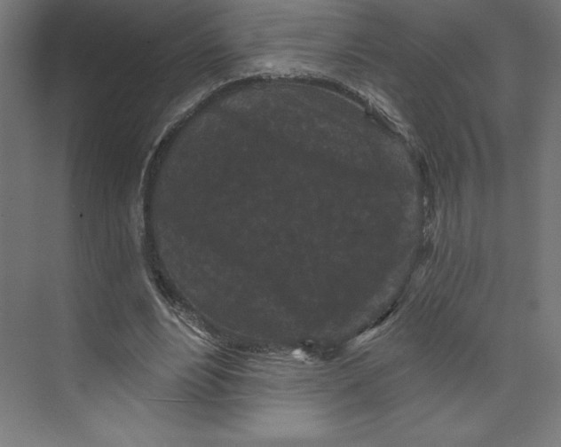 X0000074010488200609061053