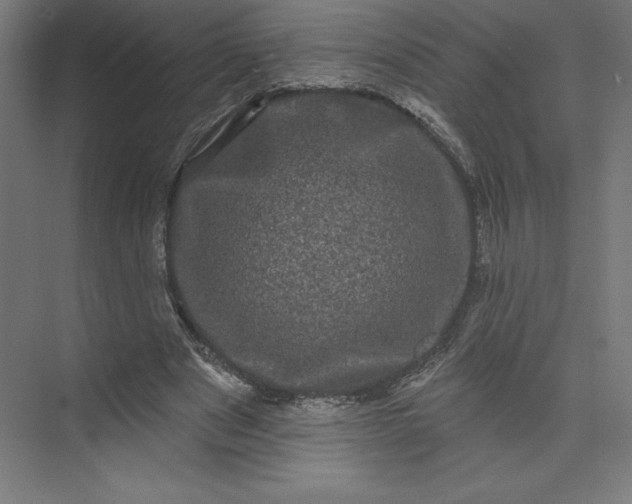 X0000074010489200609061053