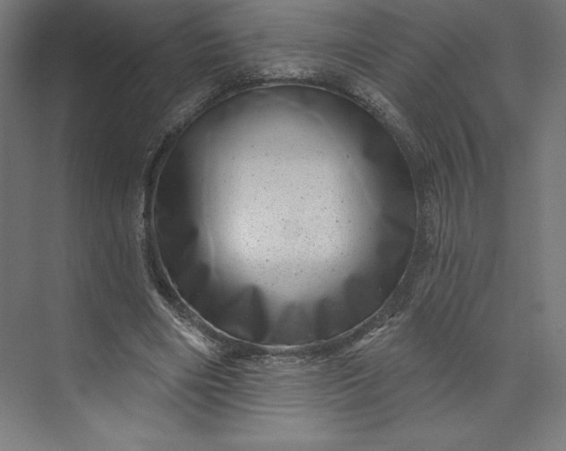 X0000074010490200609061053