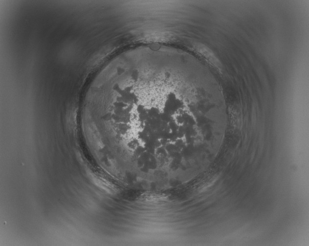 X0000074010491200609061053