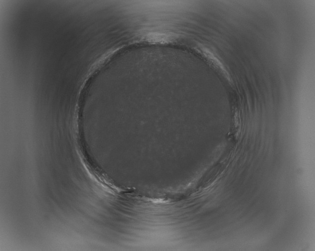 X0000074010492200609061053